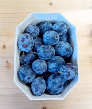 Zeige Details für Zwetschken 1kg Bild von Zwetschken 1kg